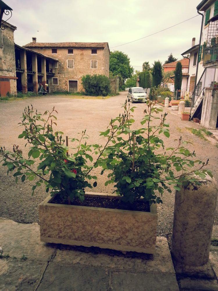 Albergo Mio Lazise Exterior photo